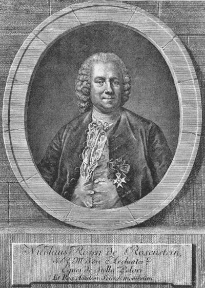 Nils Rosén von Rosenstein