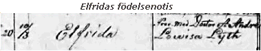 Elfridas fdelsenotis